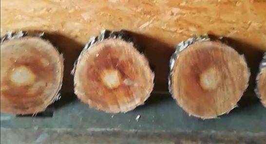 Holz