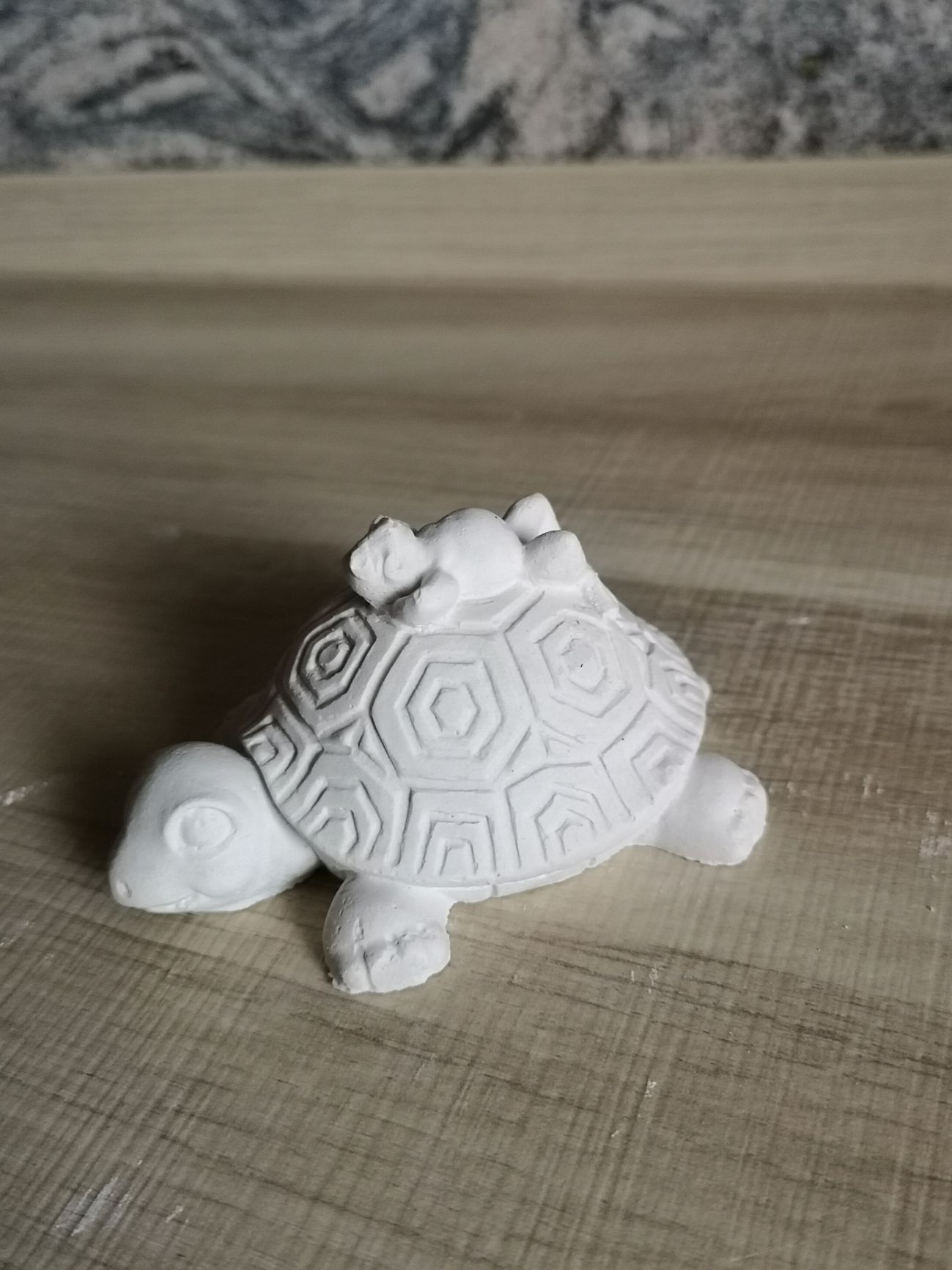 Schildkröte mit Frosch auf dem Rücken
